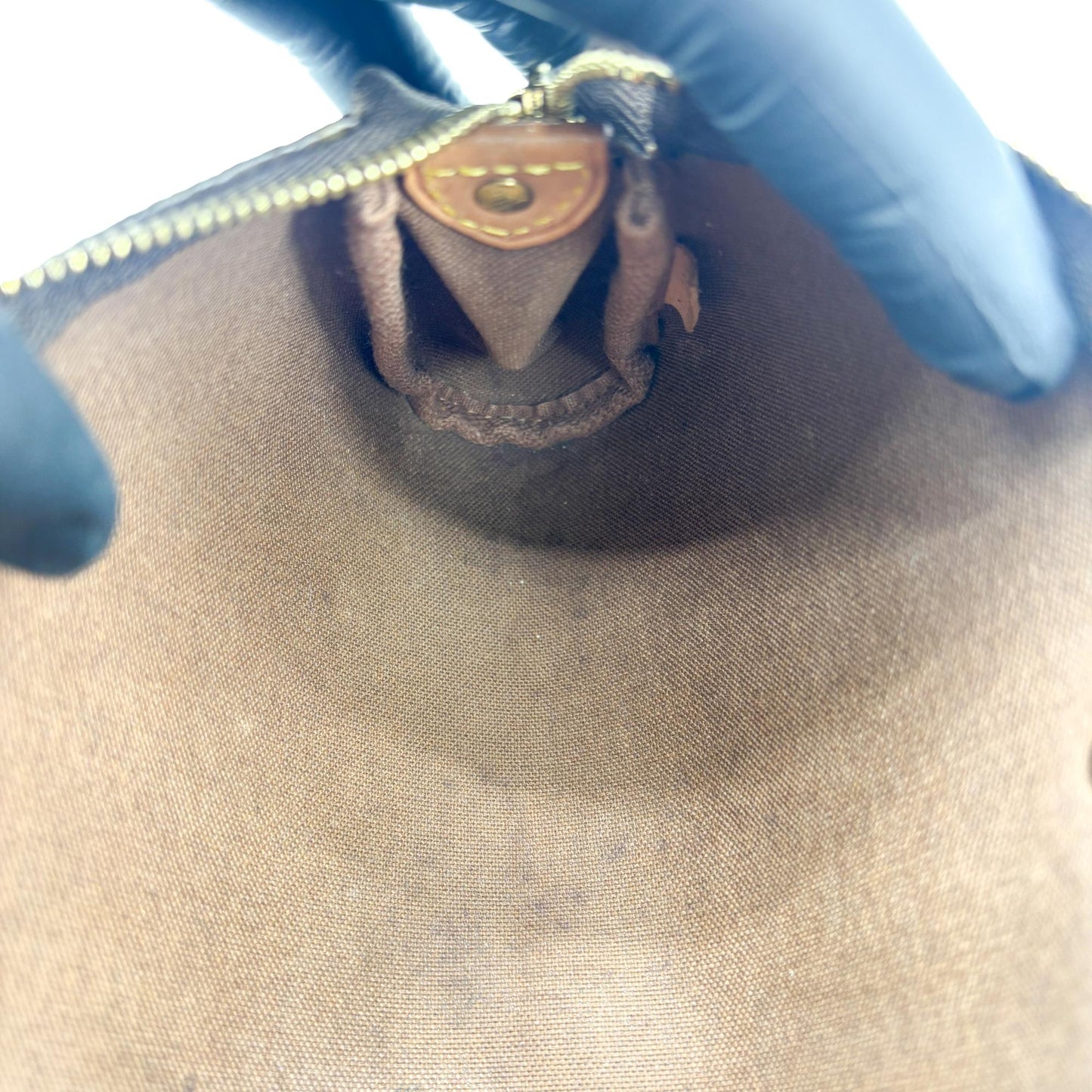 Louis Vuitton Monogram Eva Clutch