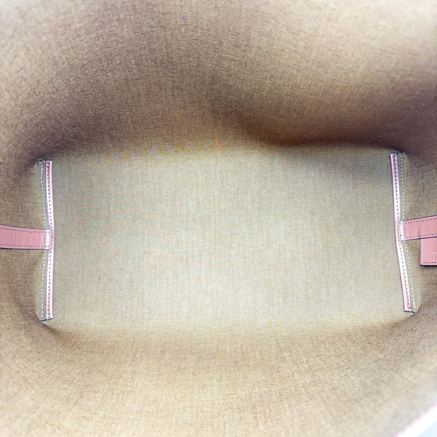 Celine Medium Bucket Bag Triomphe Canvas and Calfskin Tan
