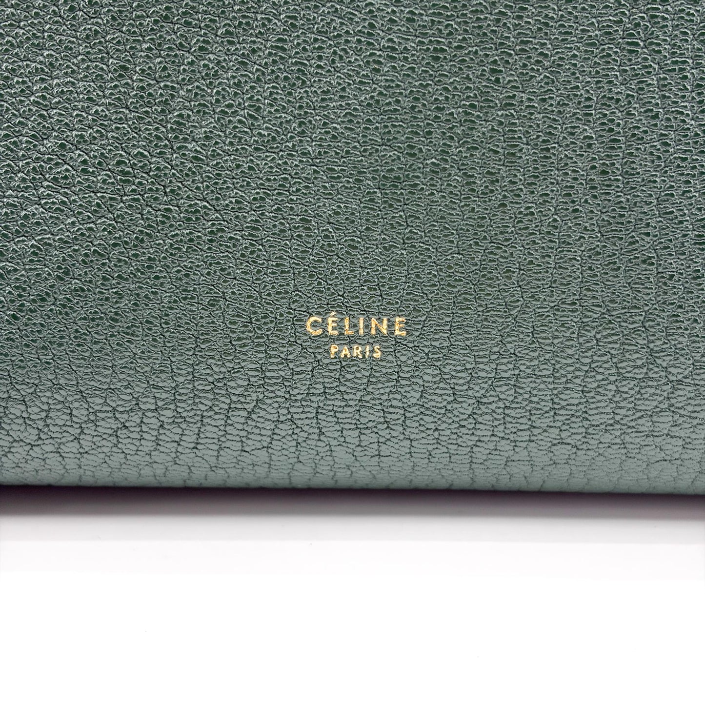 Celine Micro Belt Bag Amazon Green & Black