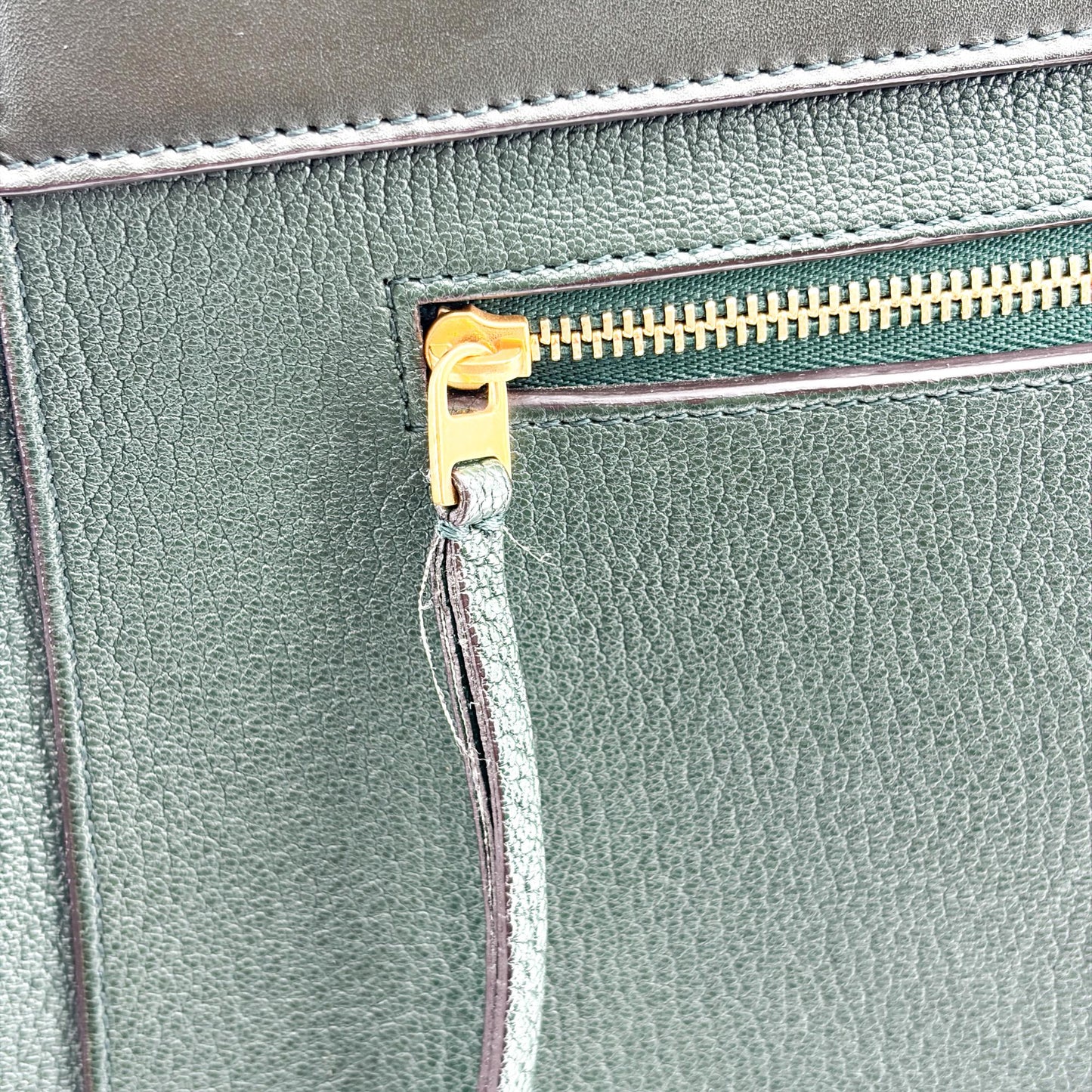 Celine Micro Belt Bag Amazon Green & Black