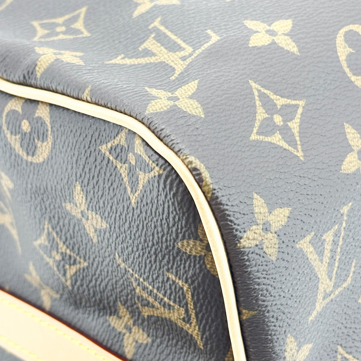 Louis Vuitton Monogram Speedy 30