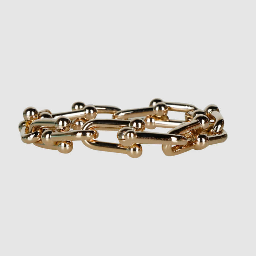 17 Ann Co. Hardware Large Link Bracelet