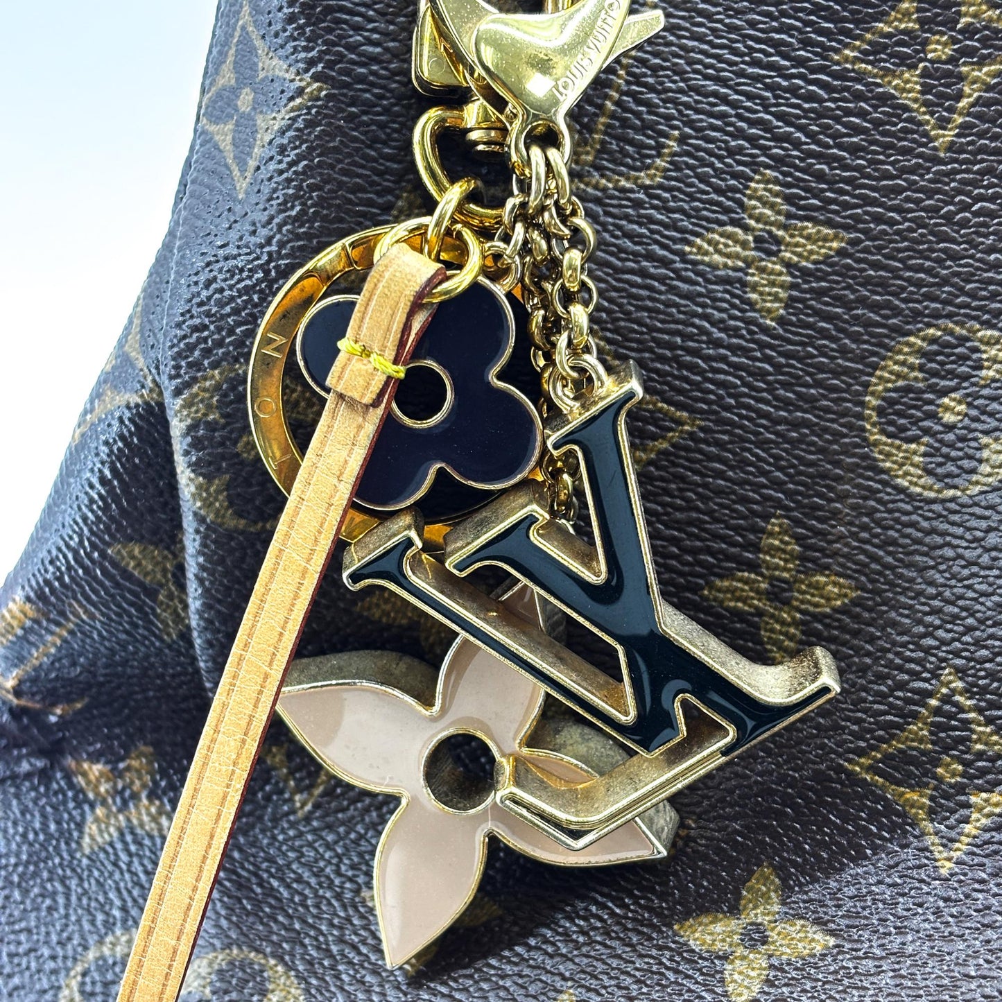 Louis Vuitton Arch MM Monogram