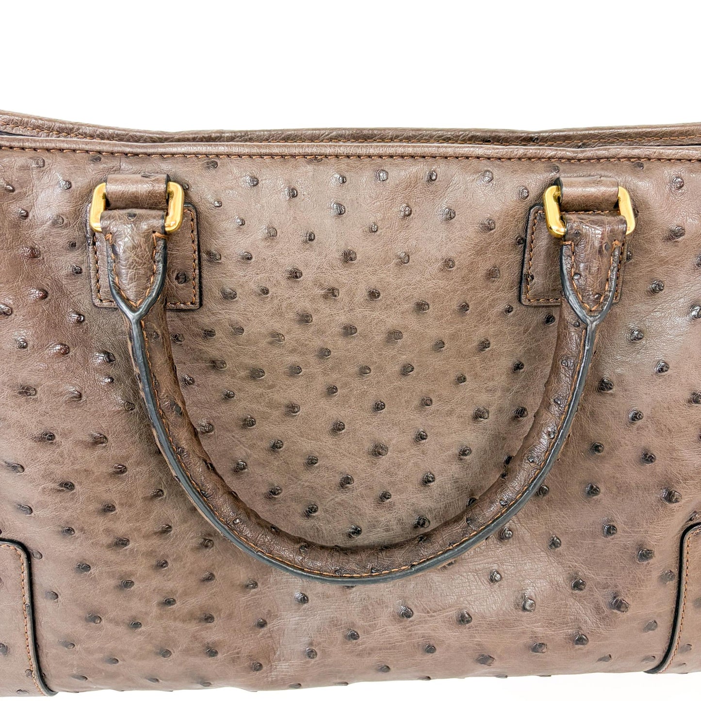 Loewe Ostrich Amazona 28 Tote Bag Dark Brown