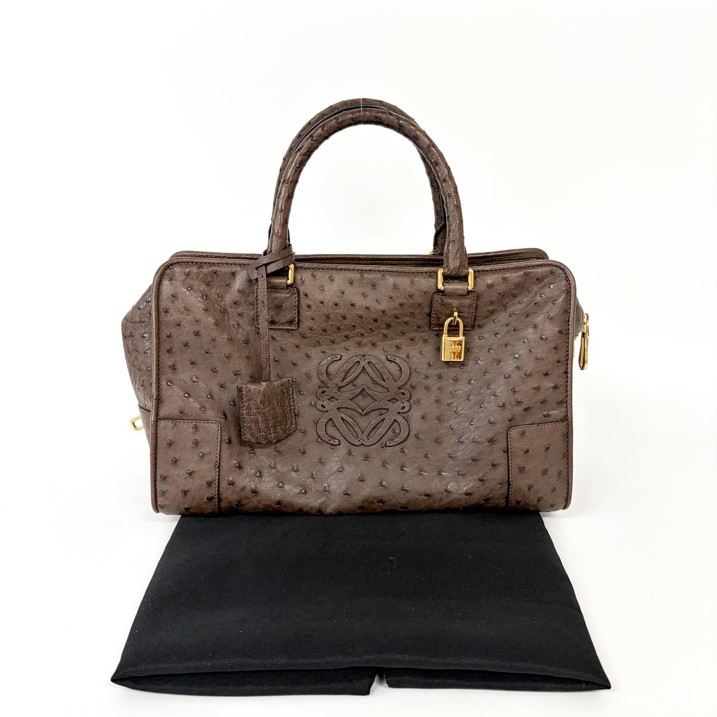 Loewe Ostrich Amazona 28 Tote Bag Dark Brown