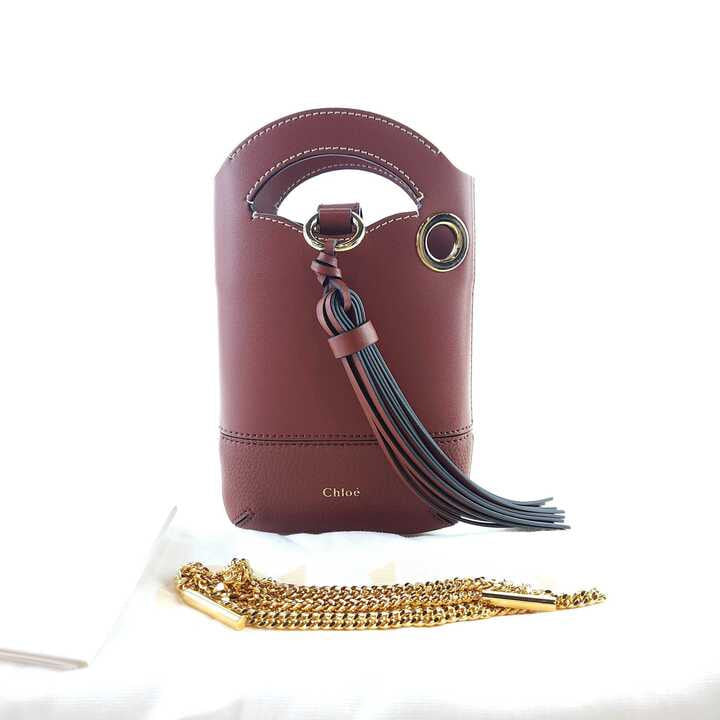 Mini Walden Chain Crossbody Tote Bag