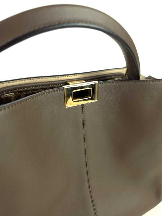 Medium Peekaboo Light Tote Bag Shoulder Bag 8BN310
