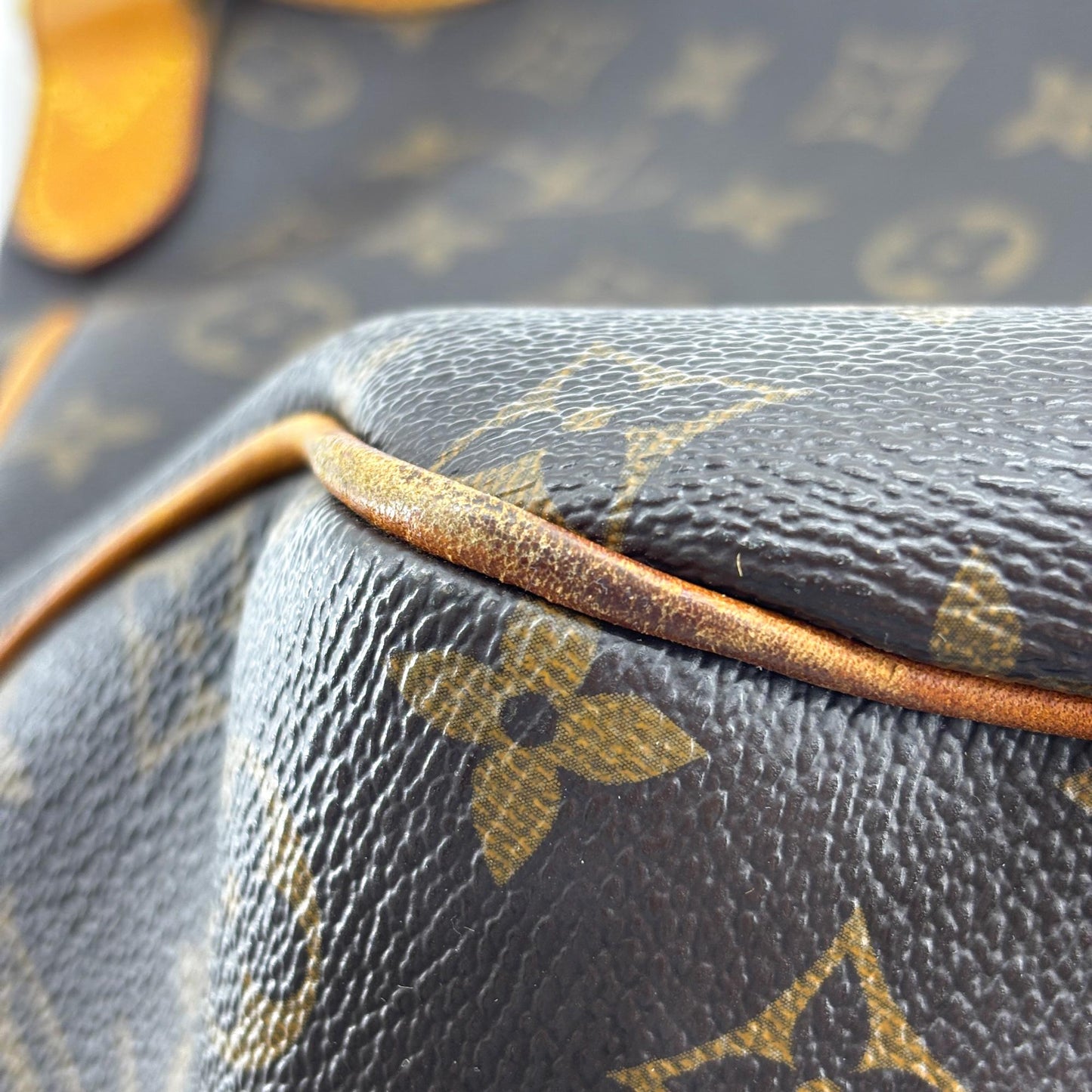 Louis Vuitton Monogram Delightful MM