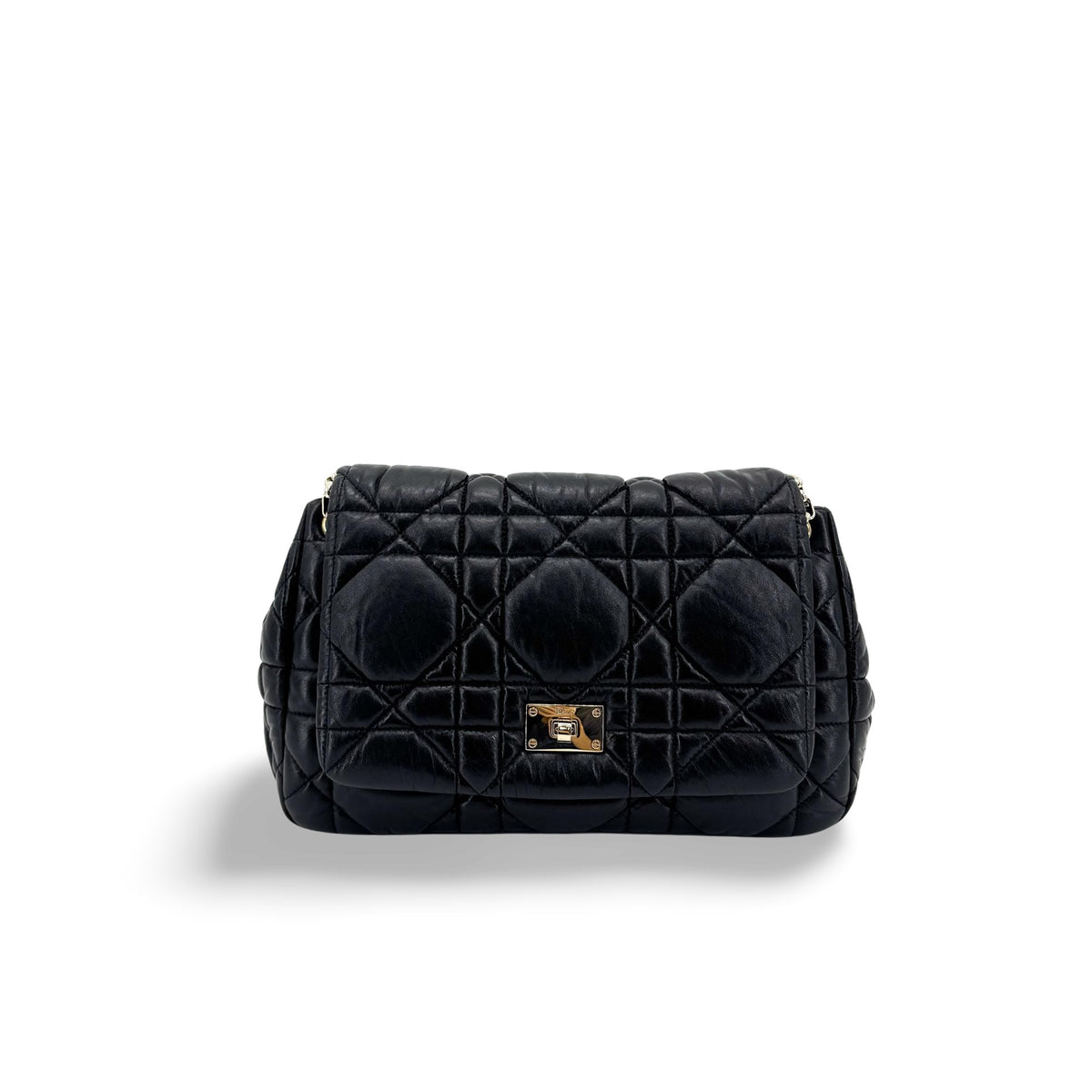 Dior Caro Medium Crossbody Bag Black
