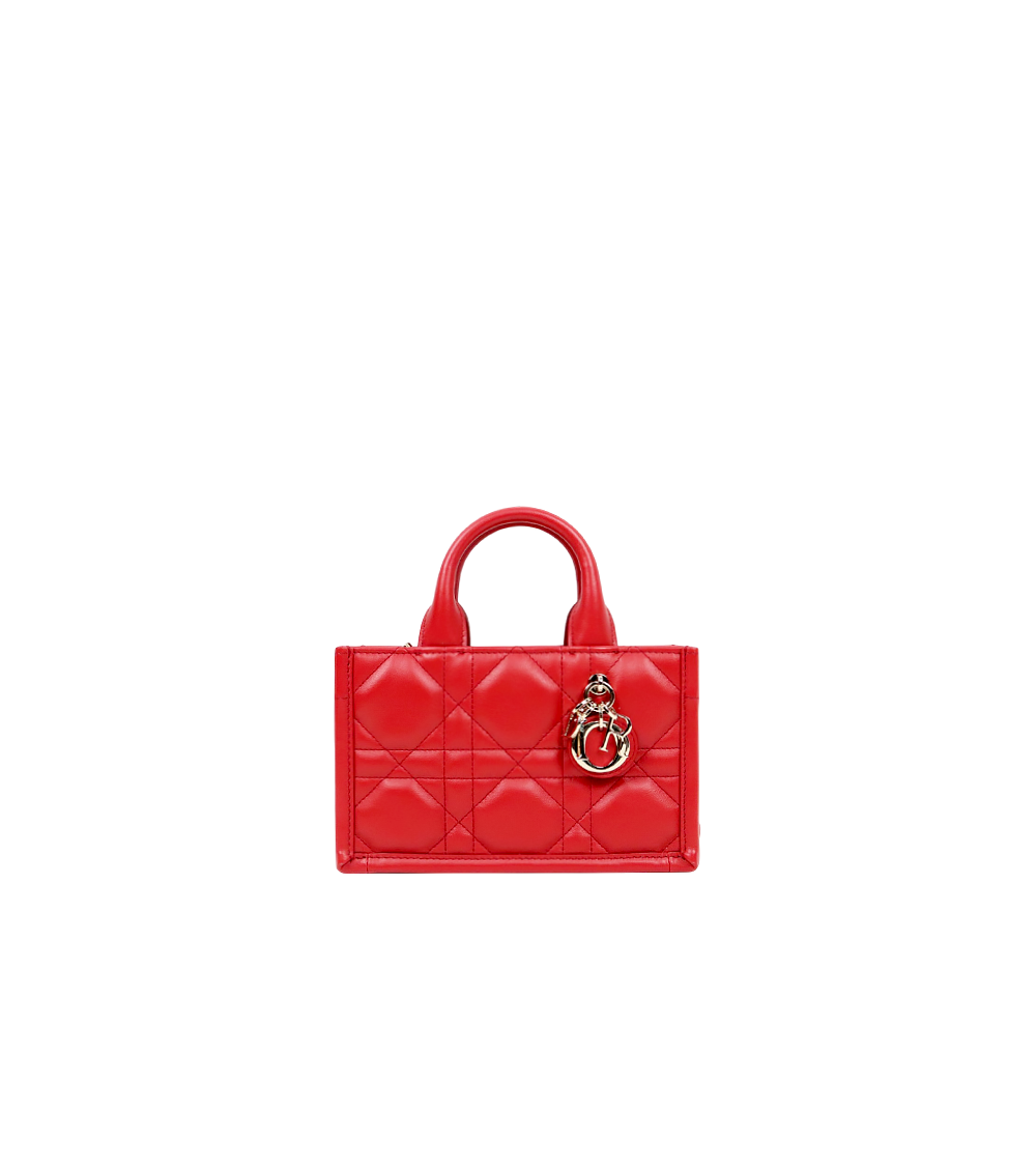 Dior Red Mini Book Tote Bag