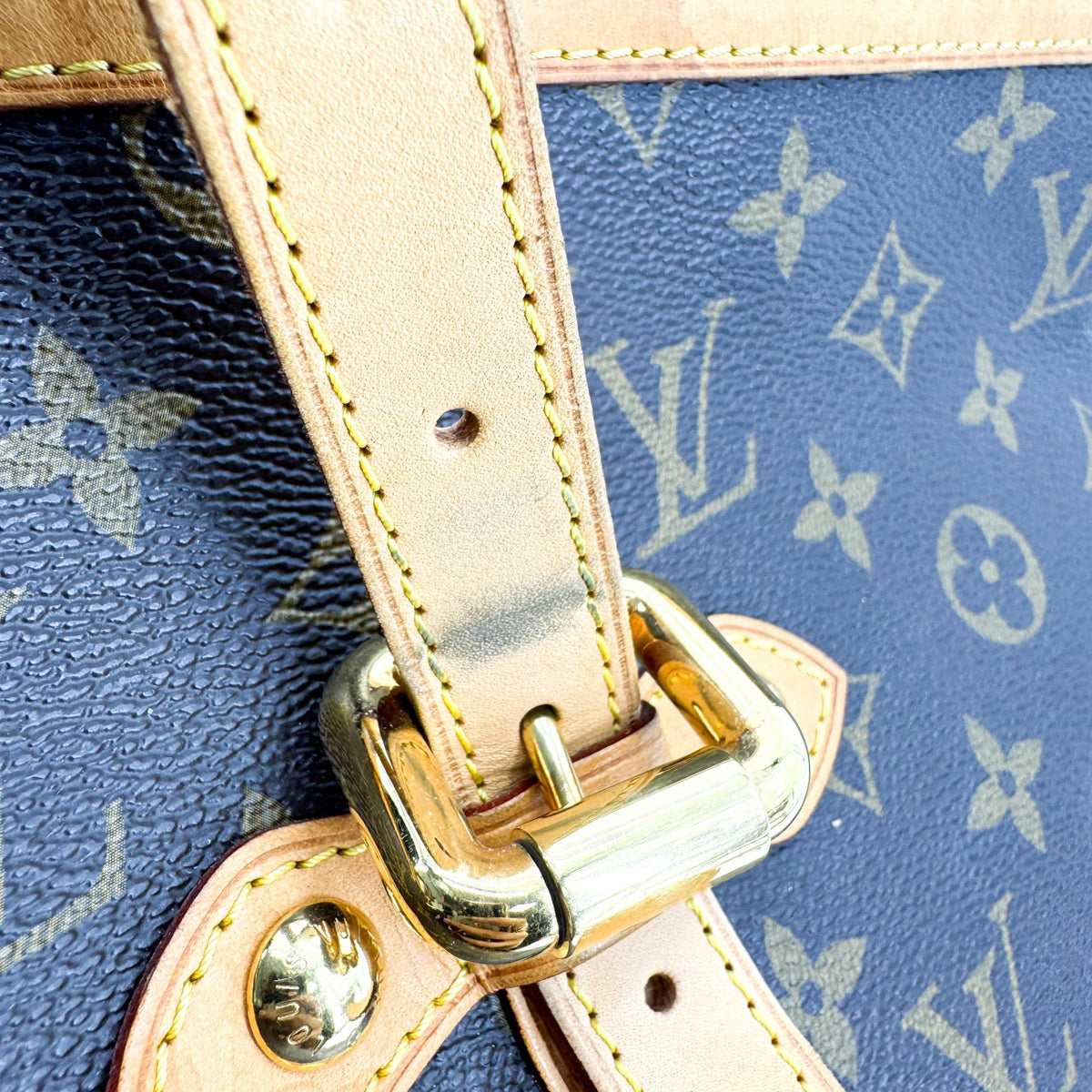 Louis Vuitton Monogram Palermo GM