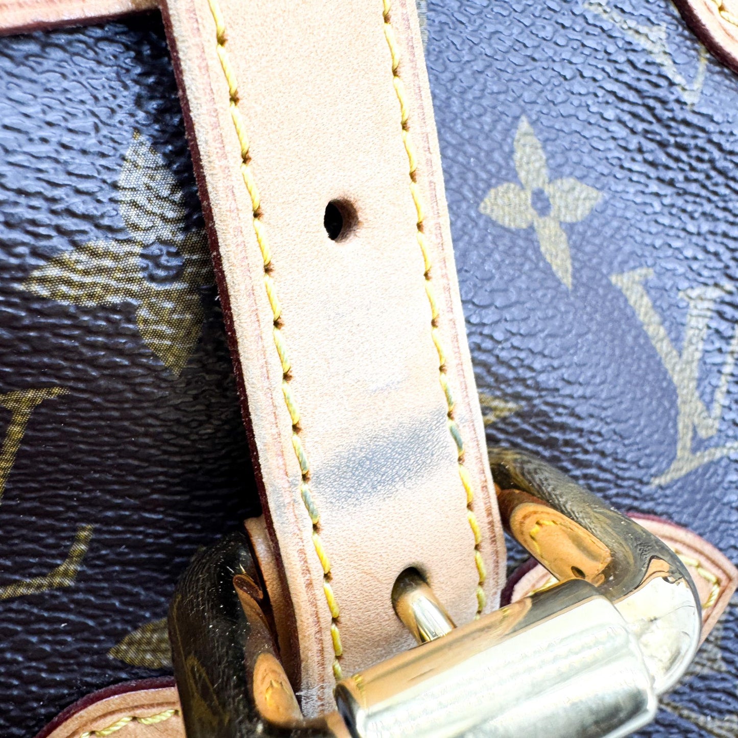 Louis Vuitton Monogram Palermo GM