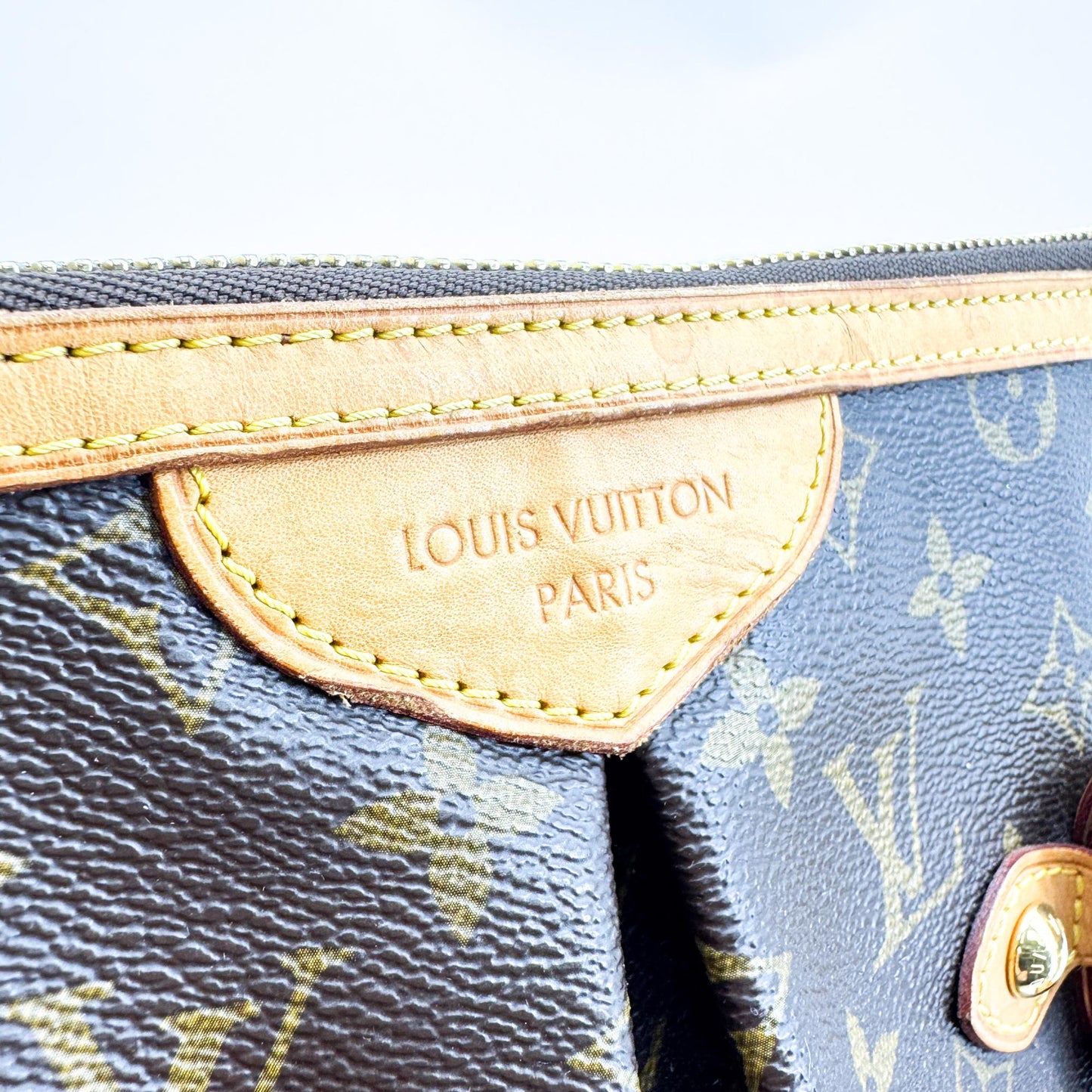 Louis Vuitton Monogram Palermo GM