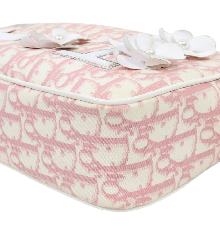 Dior Pink Oblique Trotter