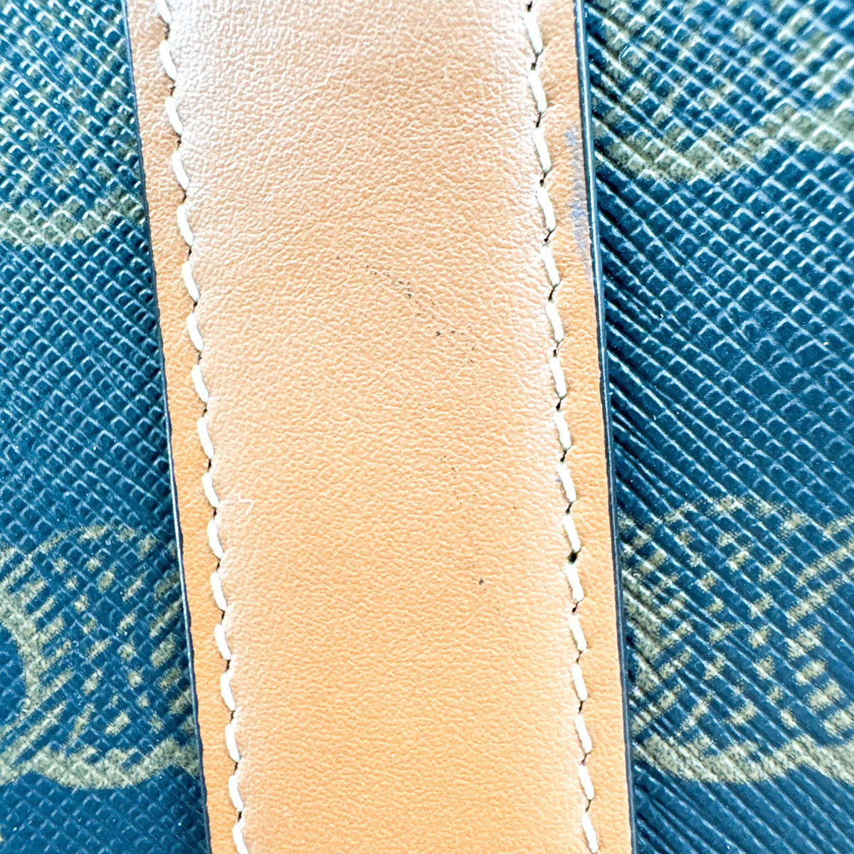 Celine Triomphe Canvas Medium Bucket Bag Tan