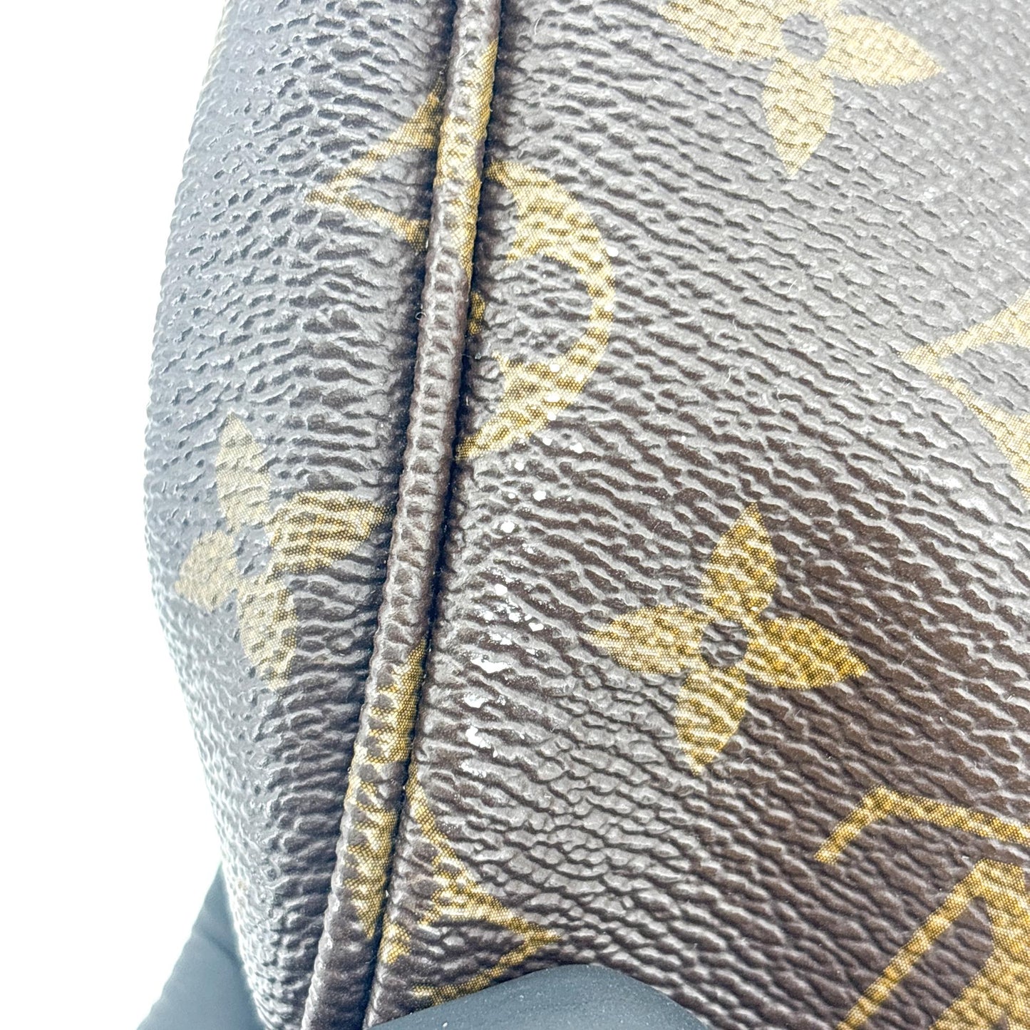 Louis Vuitton Monogram Favorite PM