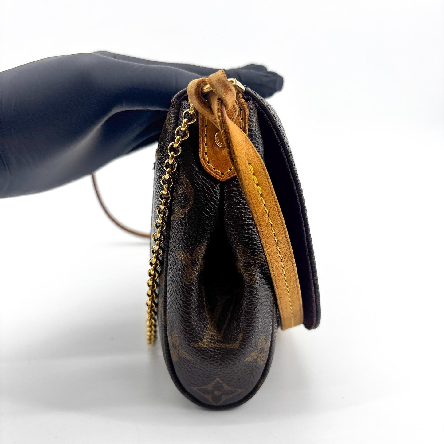 Louis Vuitton Monogram Favorite PM