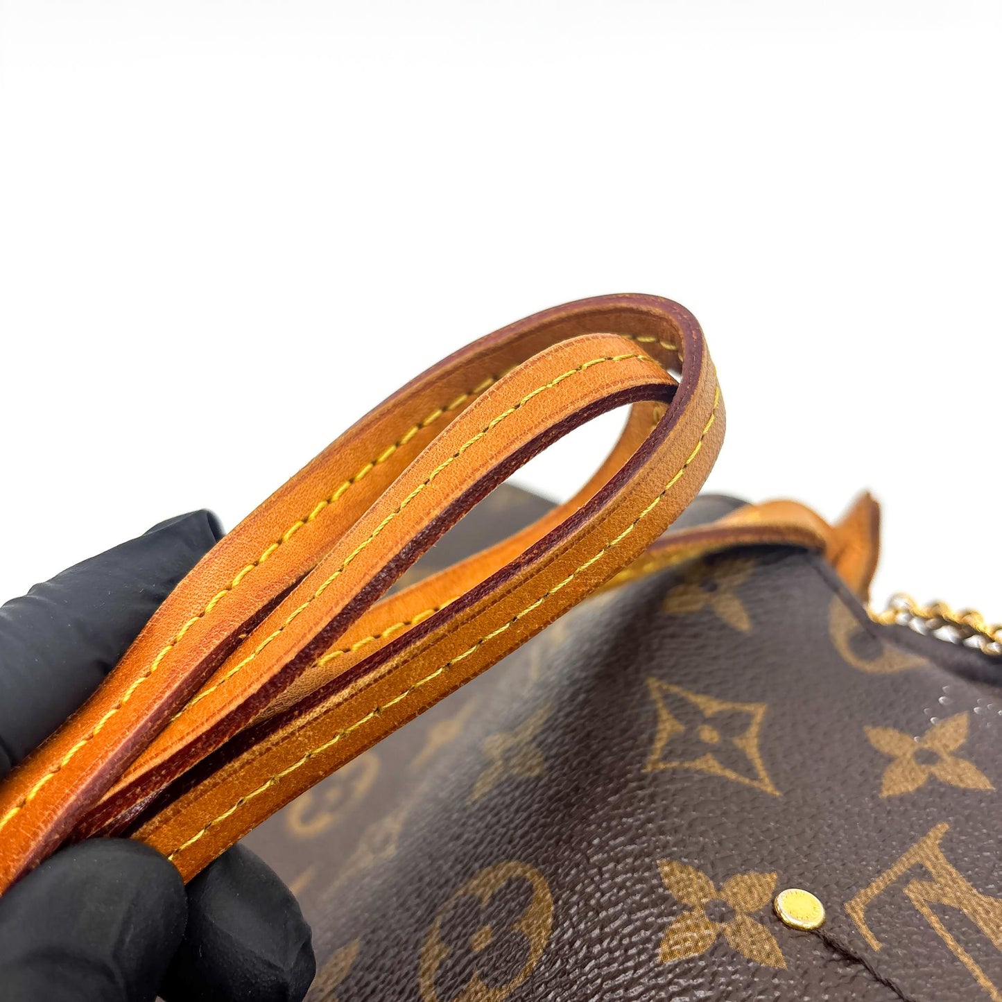 Louis Vuitton Monogram Favorite PM