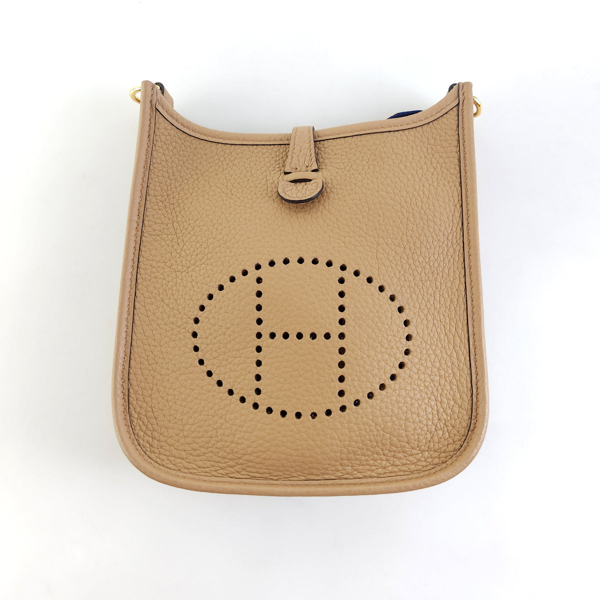 Mini Evelyn 16 Crossbody Bag