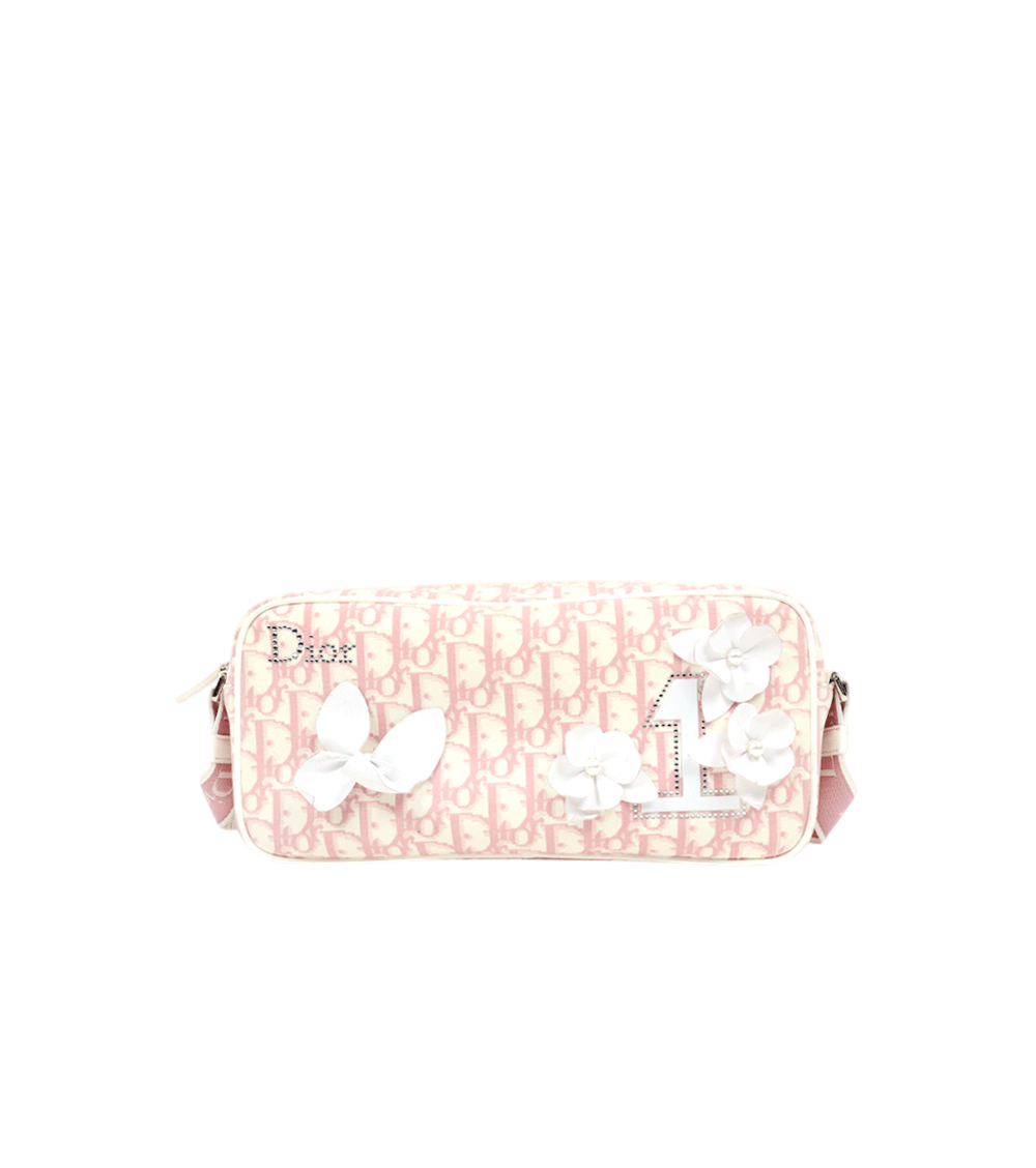 Dior Pink Oblique Trotter