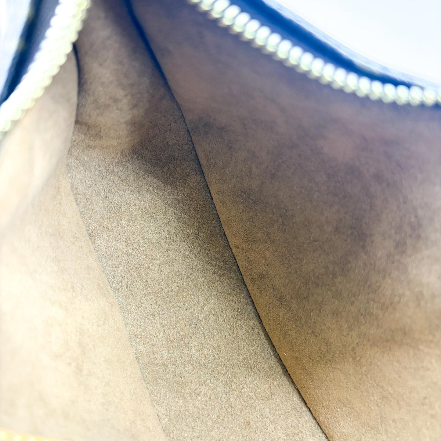 Louis Vuitton Loop Bag Monogram