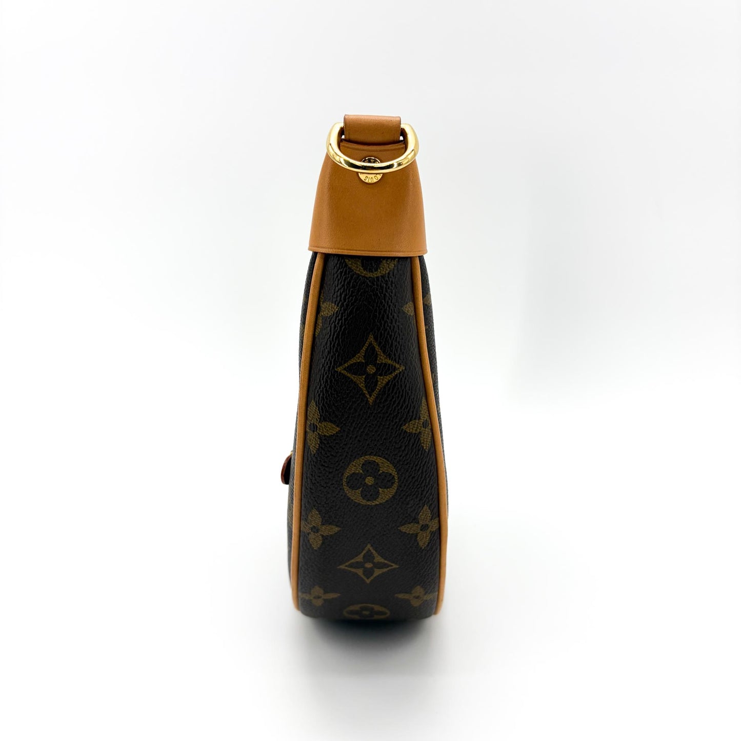 Louis Vuitton Loop Bag Monogram