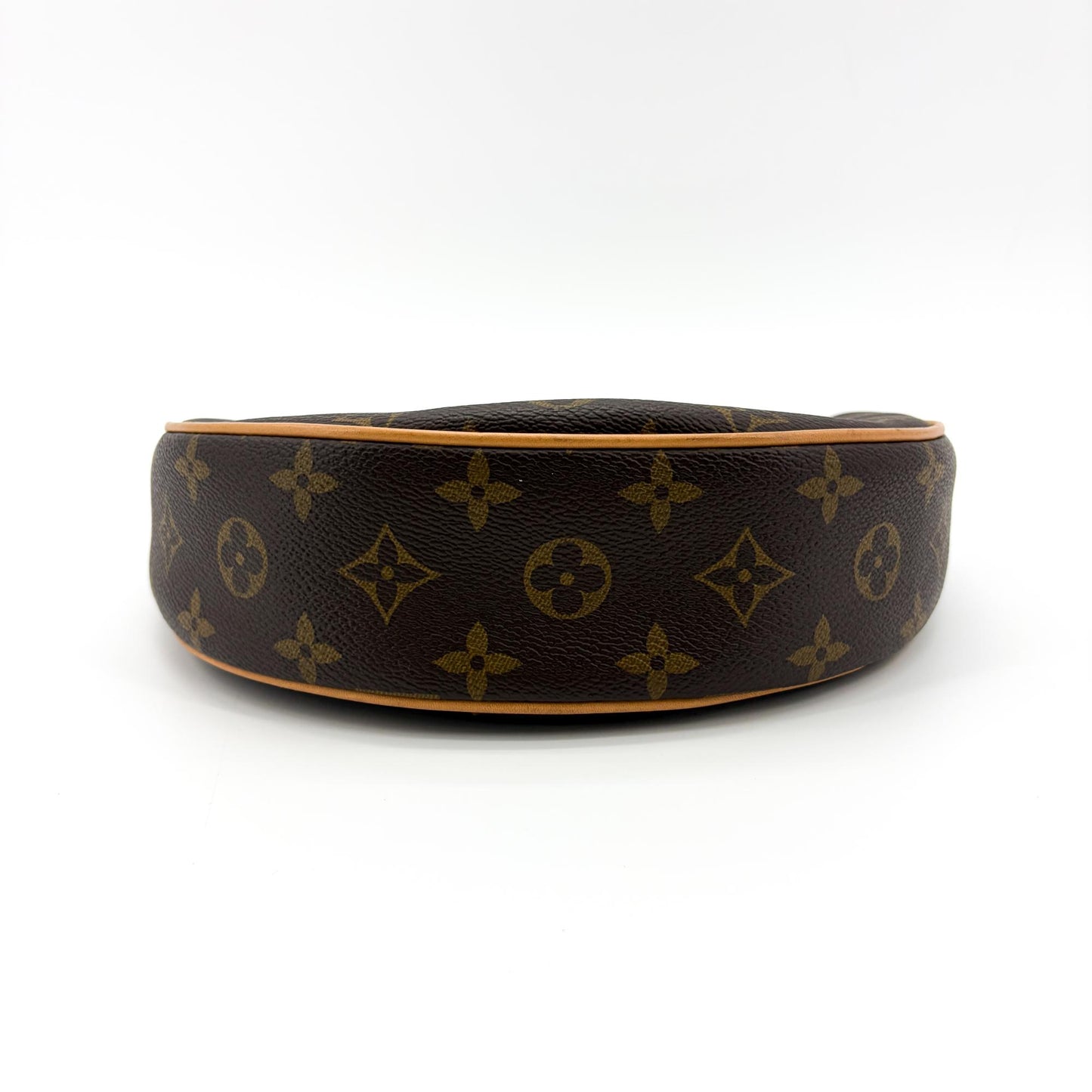 Louis Vuitton Loop Bag Monogram