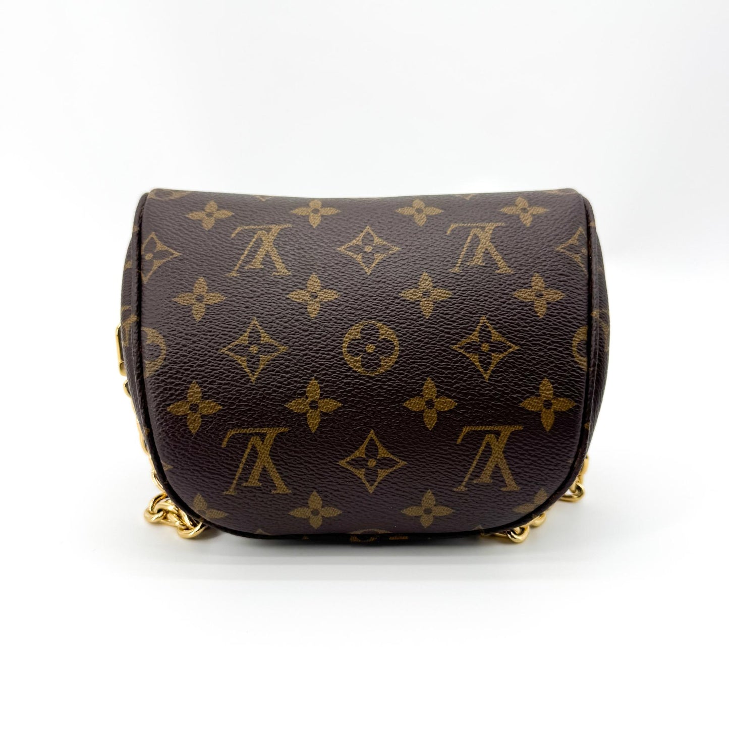 Louis Vuitton Mini Bum Bag Monogram