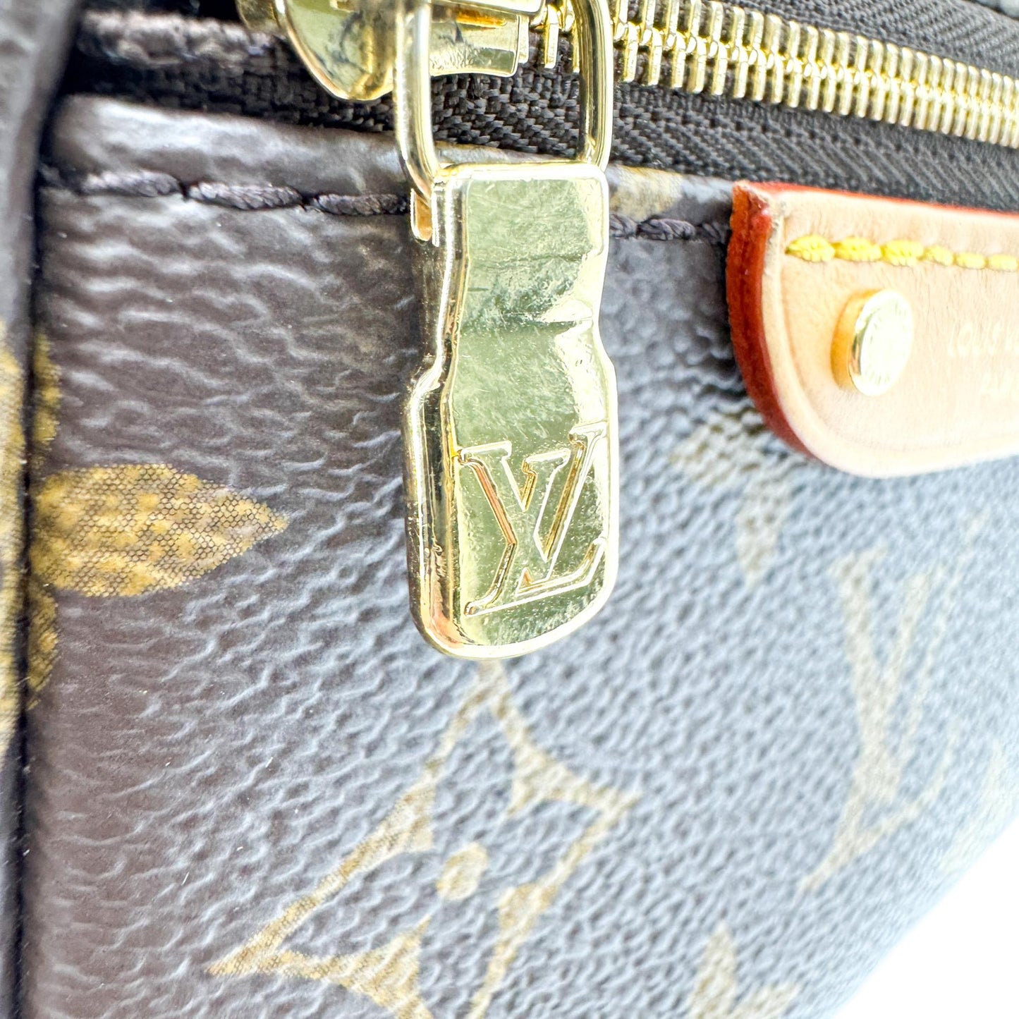 Louis Vuitton Mini Bum Bag Monogram