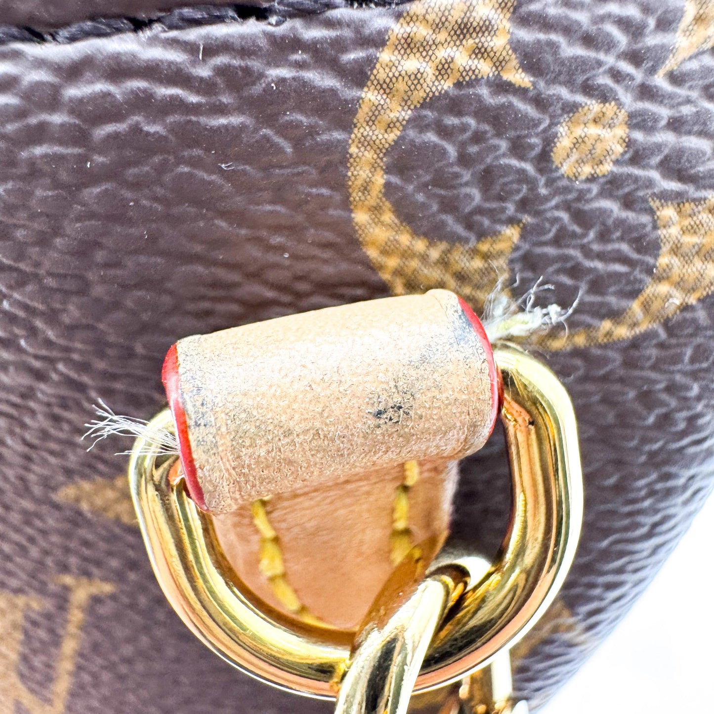 Louis Vuitton Mini Bum Bag Monogram