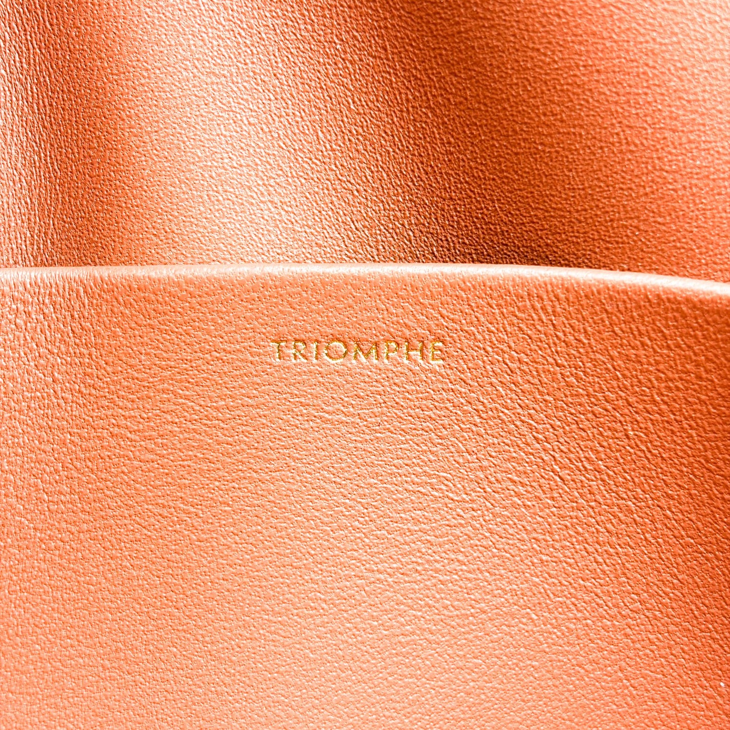 Celine Classic Triomphe Bag Shiny Calfskin Tan