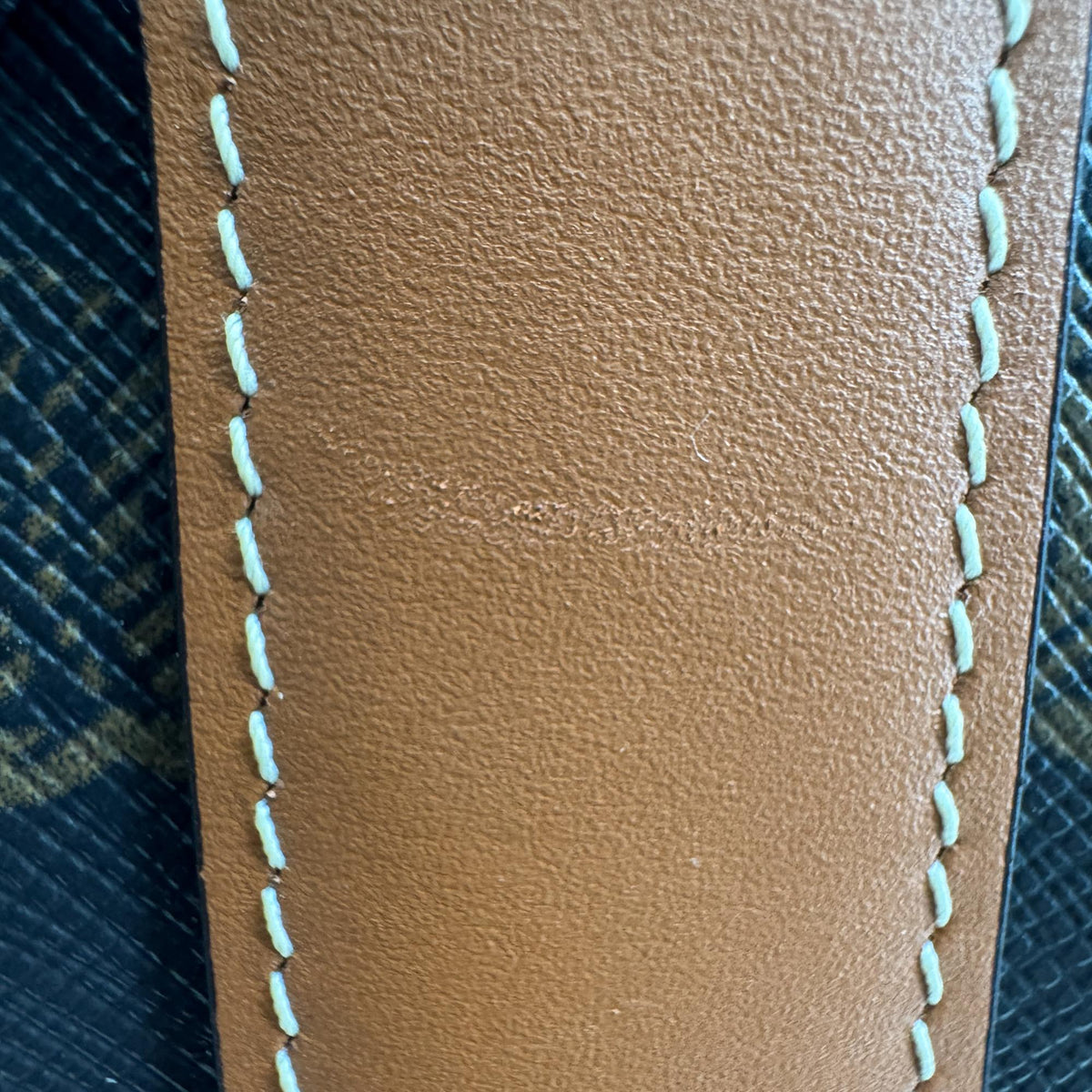 Celine Triomphe Canvas Small Bucket Bag Tan