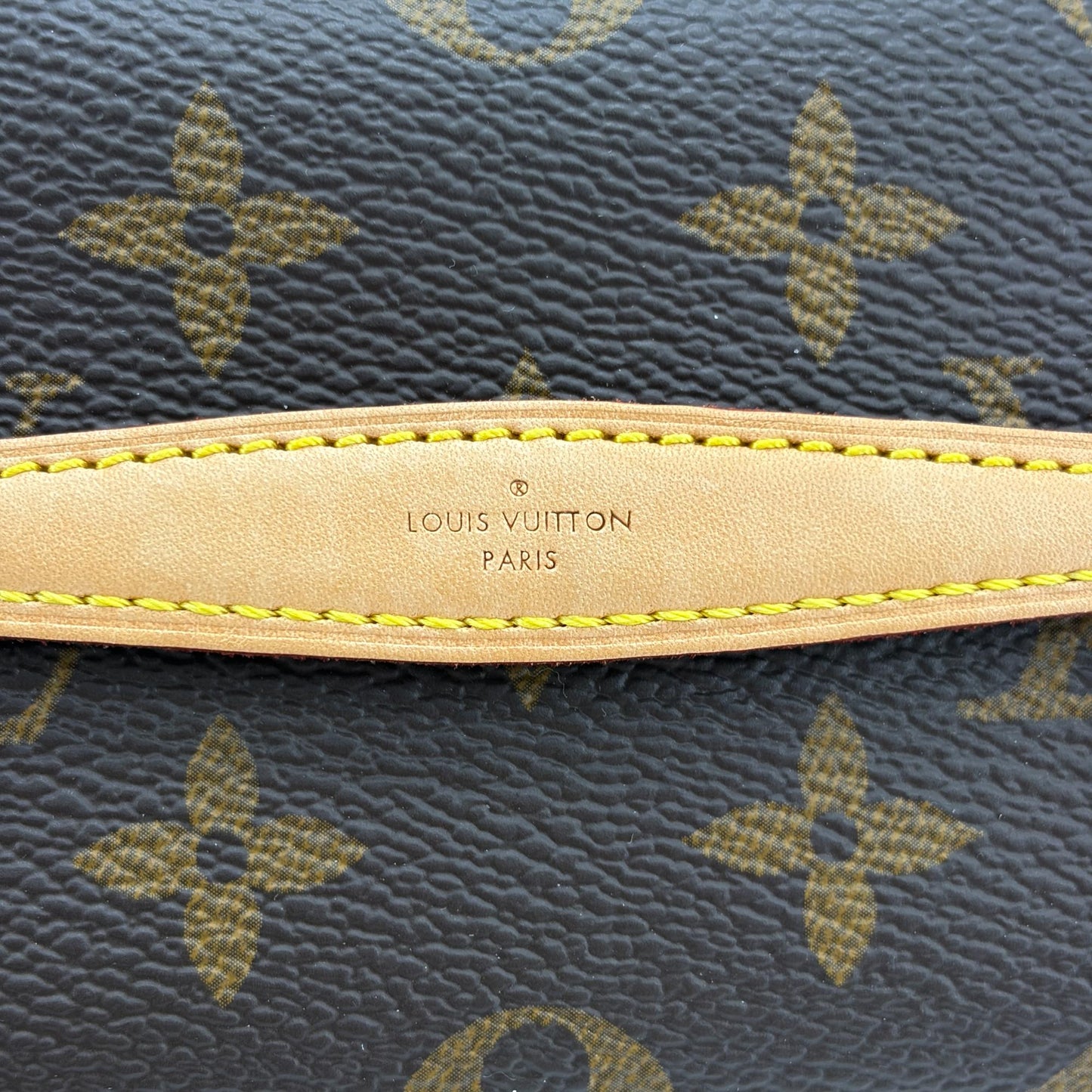 Louis Vuitton Nice Nano Monogram