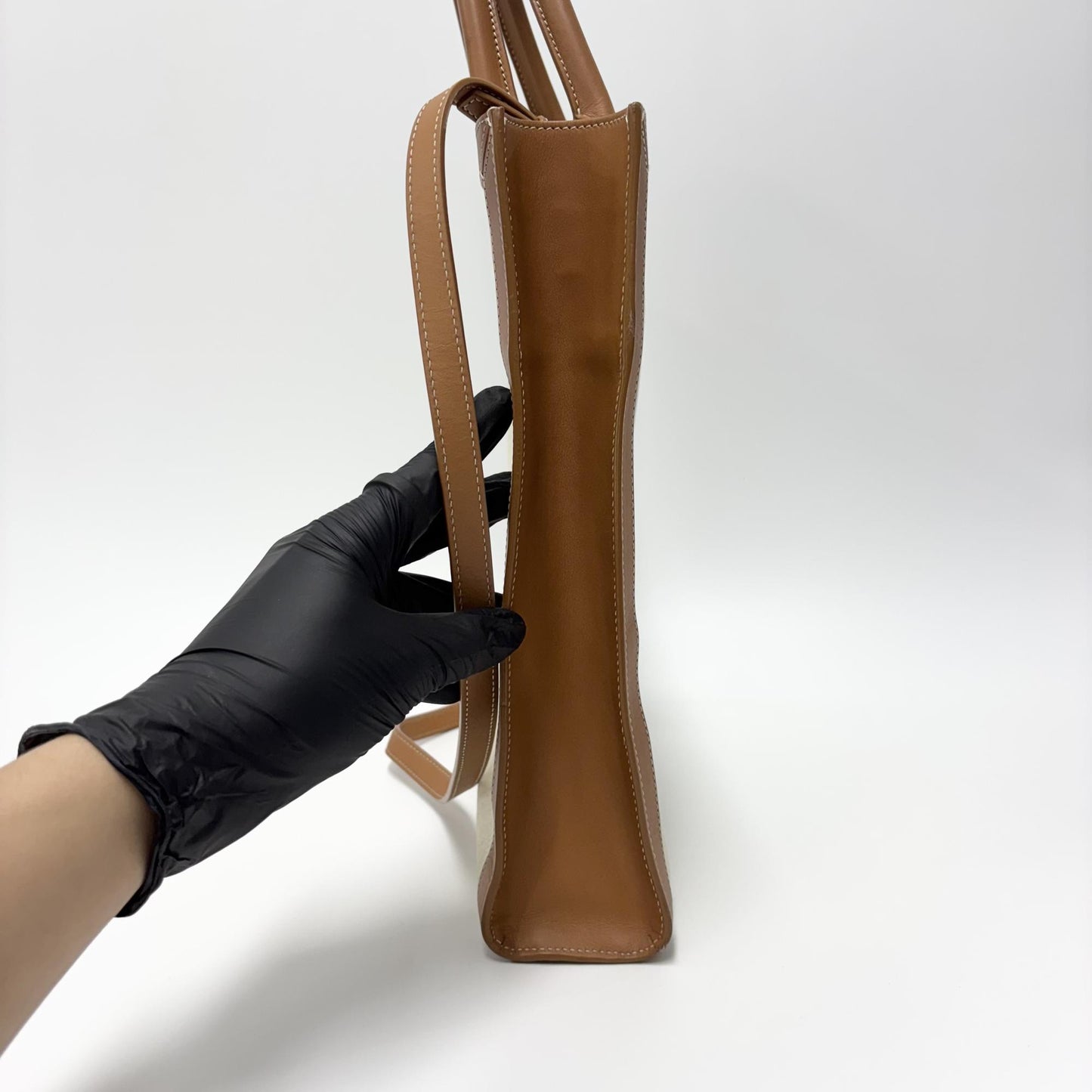 Celine Cabas Vertical Small Tote Bag