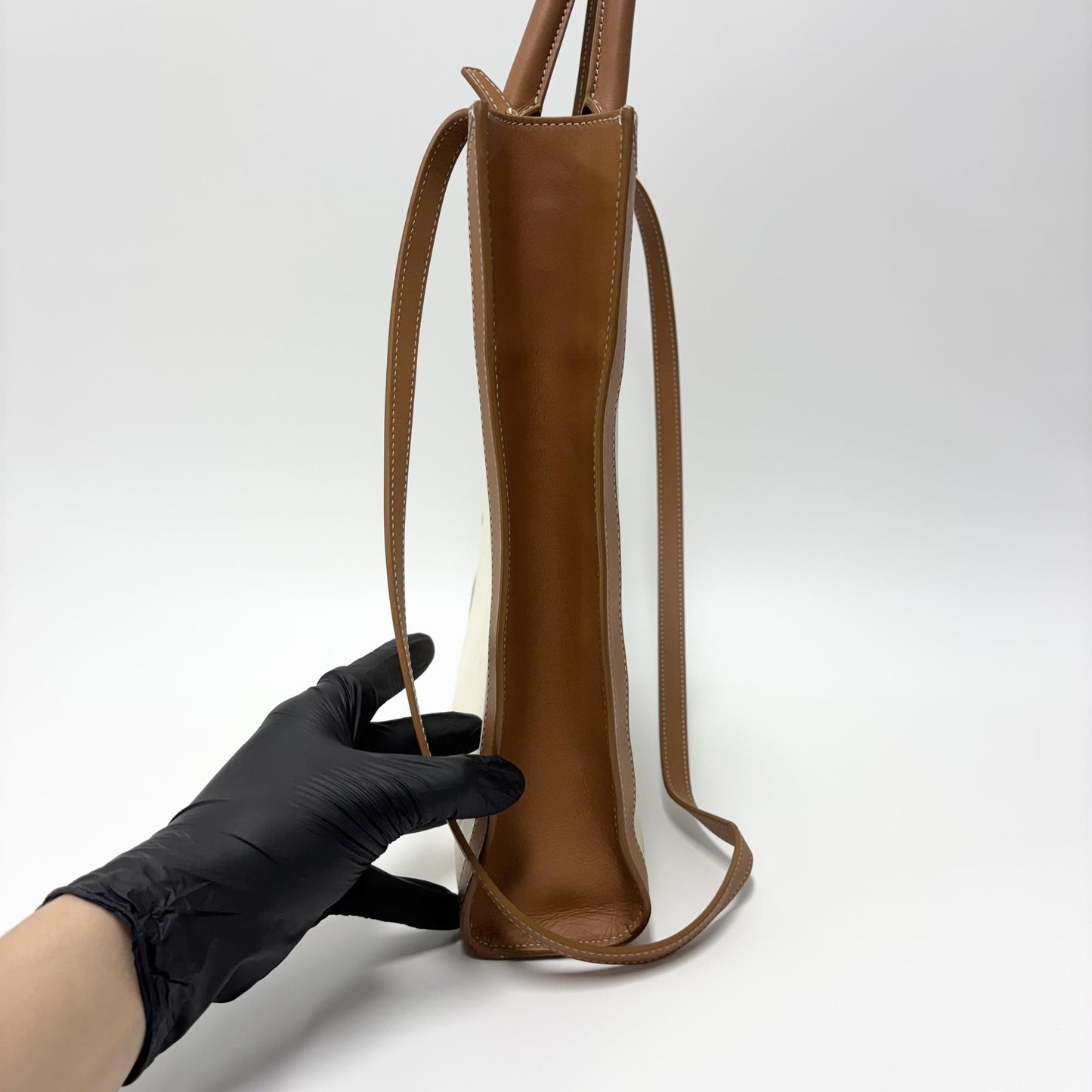 Celine Cabas Vertical Small Tote Bag