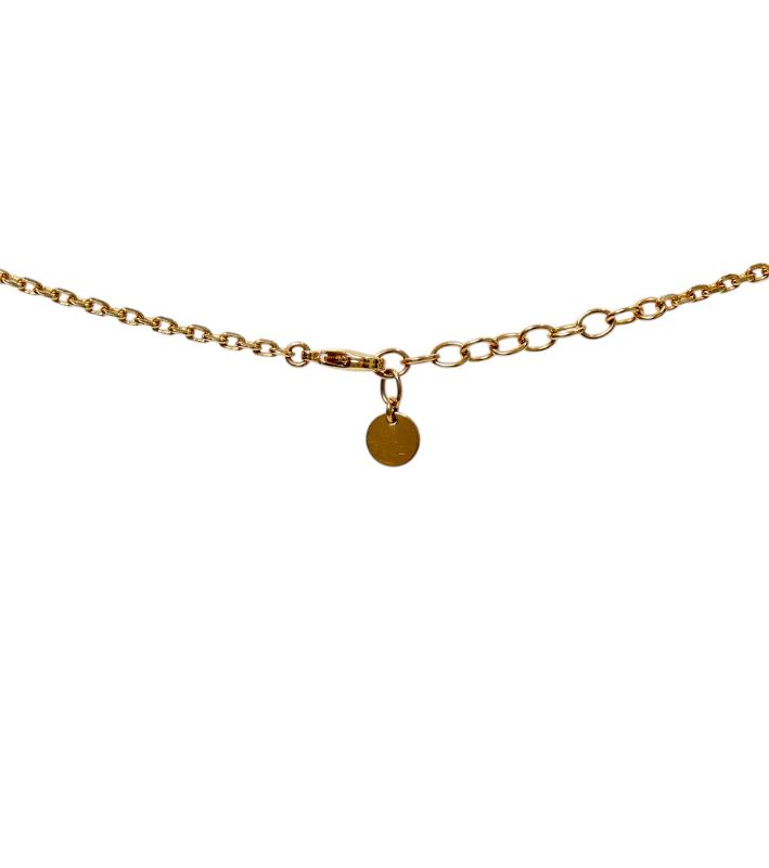 Dior Petit CD Star Necklace