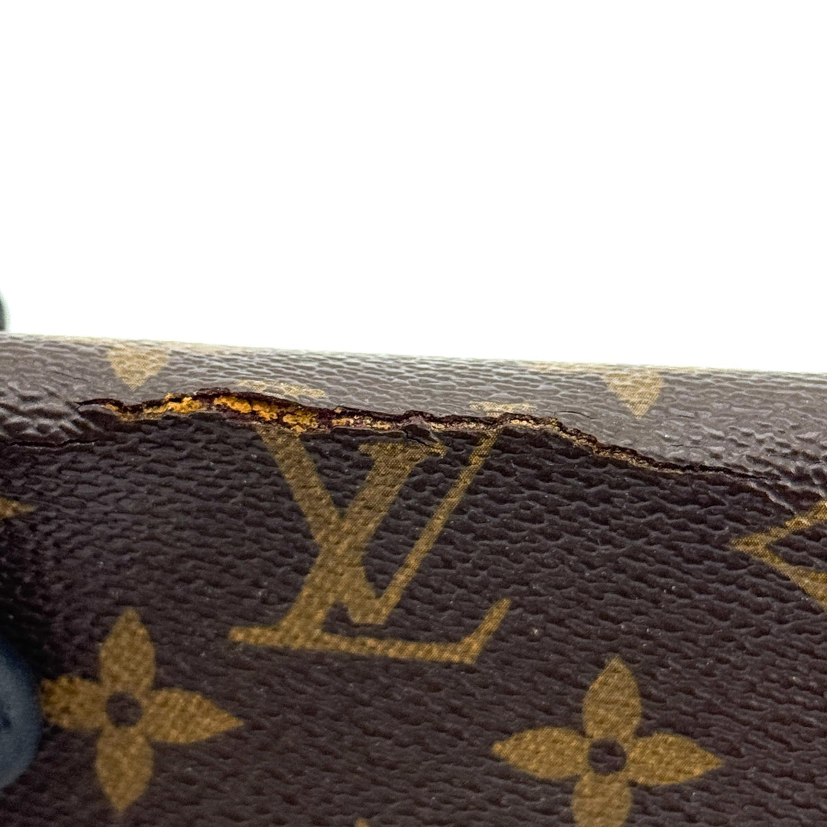 Louis Vuitton Monogram Favorite mm