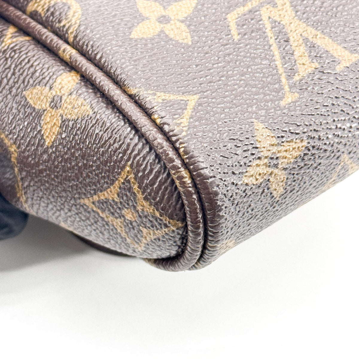 Louis Vuitton Monogram Favorite mm