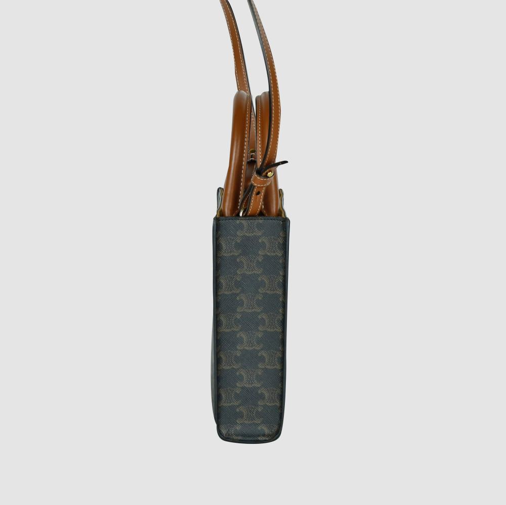 Mini Triomphe Canvas Vertical Cabas Tote Bag Crossbody 194372