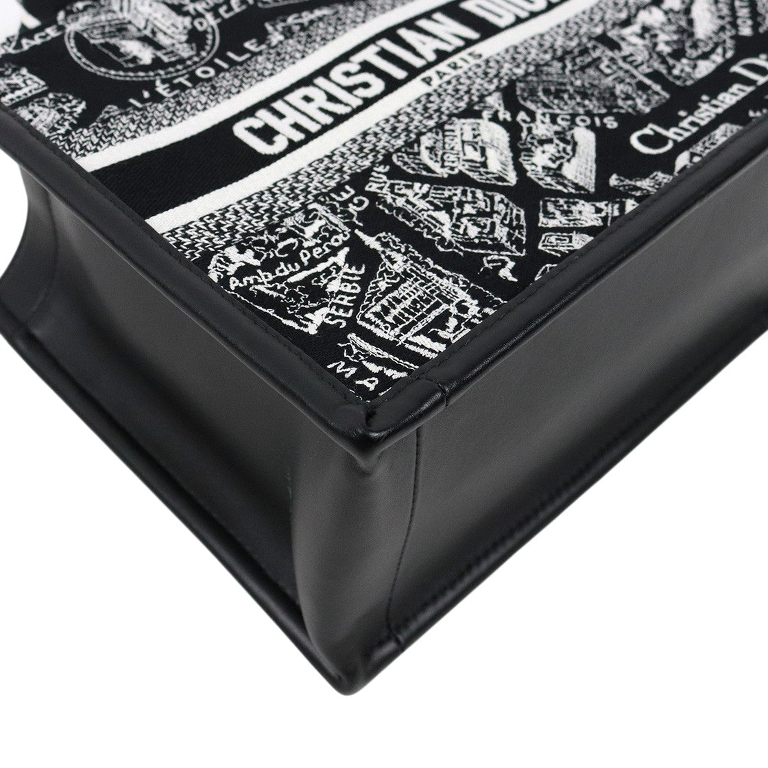 Dior Small Plan de Paris Leather Book Tote
