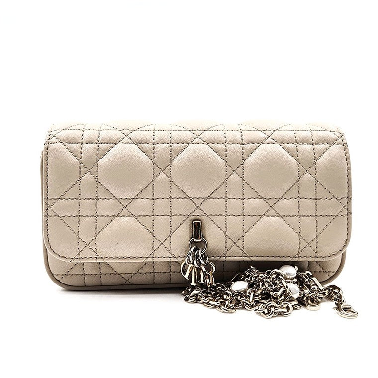 Christian Dior phone pouch