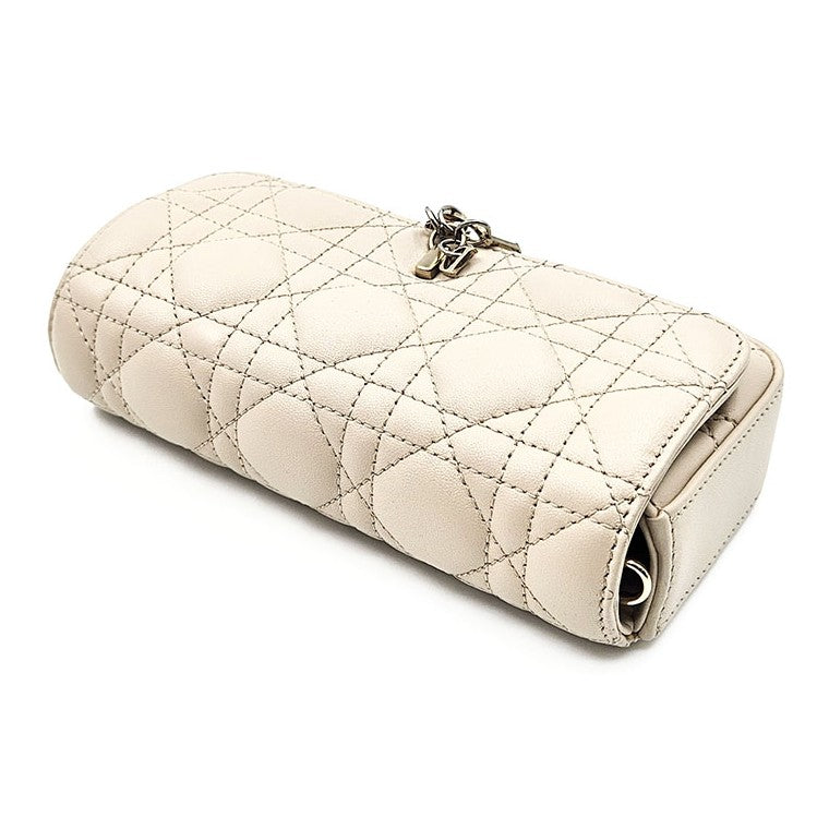 Christian Dior phone pouch