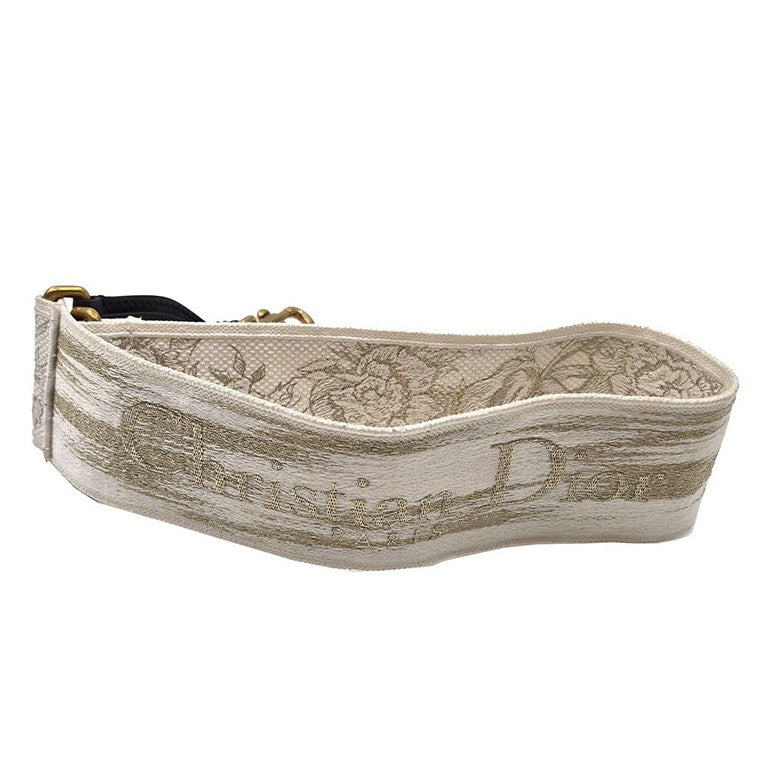 Christian Dior Saddle Bag + Strap