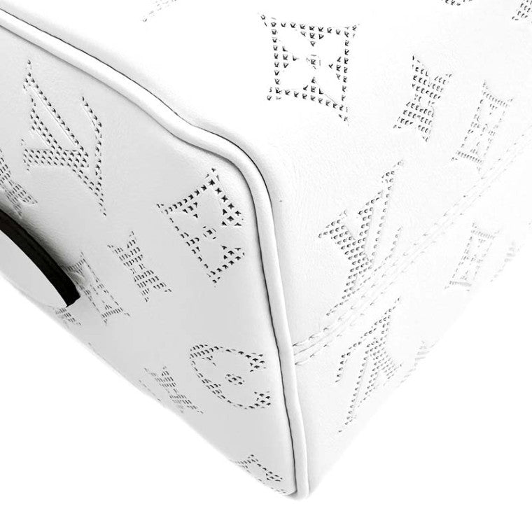 Louis Vuitton Bandoulière Speedy 20